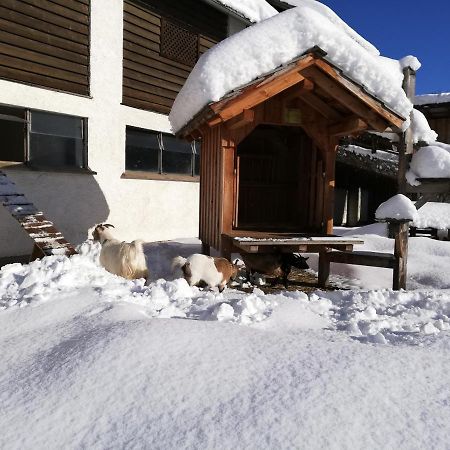 Zweimaederlhaus Apartman Bad Mitterndorf Kültér fotó