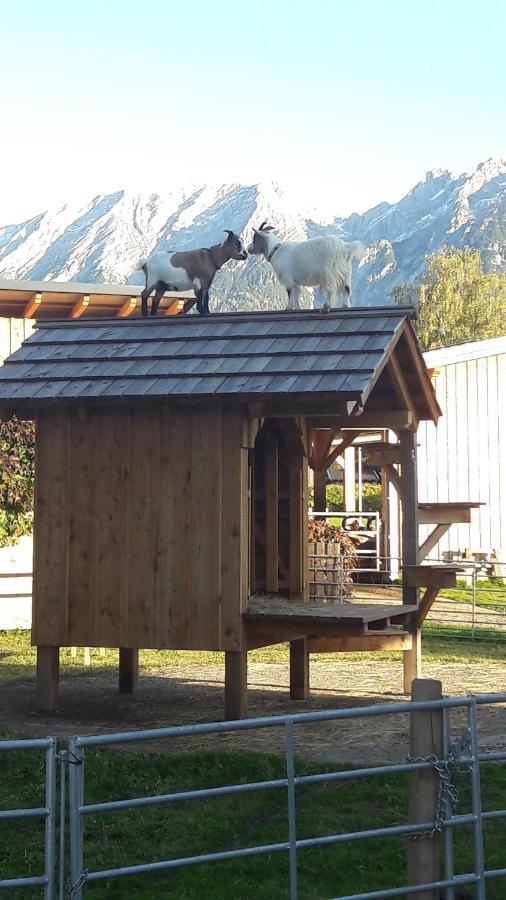 Zweimaederlhaus Apartman Bad Mitterndorf Kültér fotó