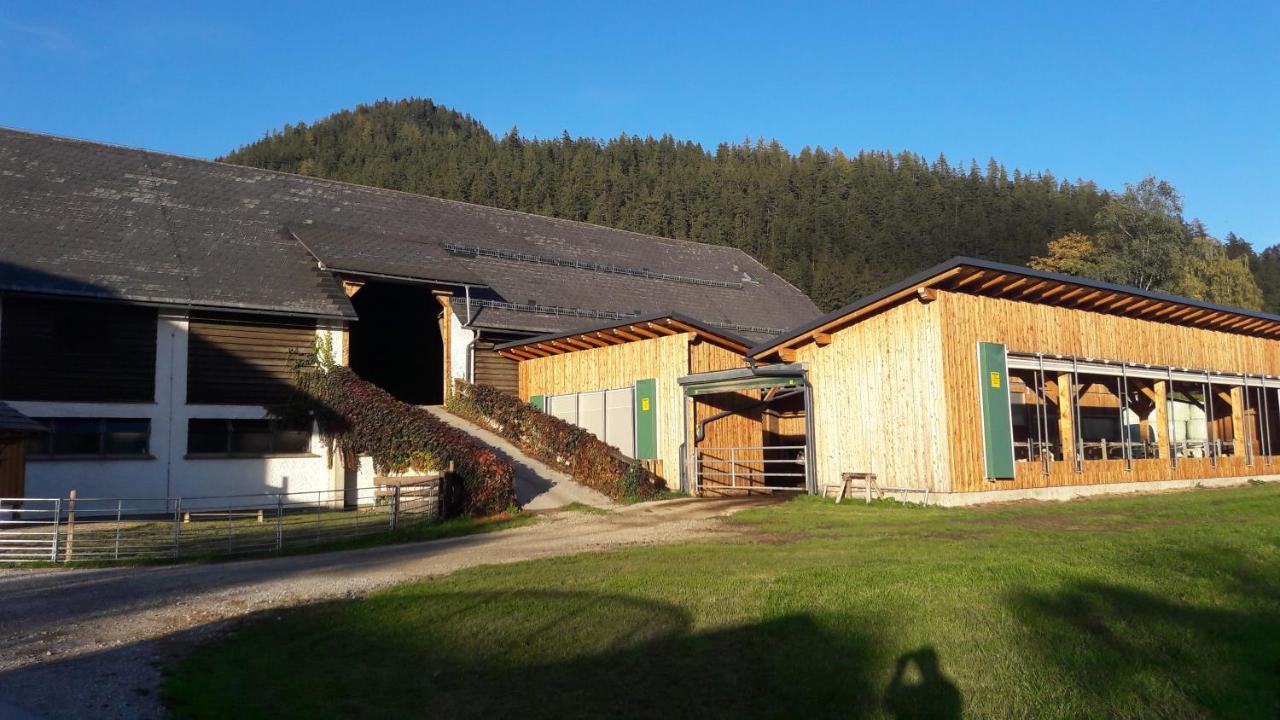 Zweimaederlhaus Apartman Bad Mitterndorf Kültér fotó