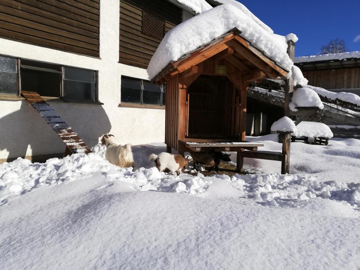 Zweimaederlhaus Apartman Bad Mitterndorf Kültér fotó